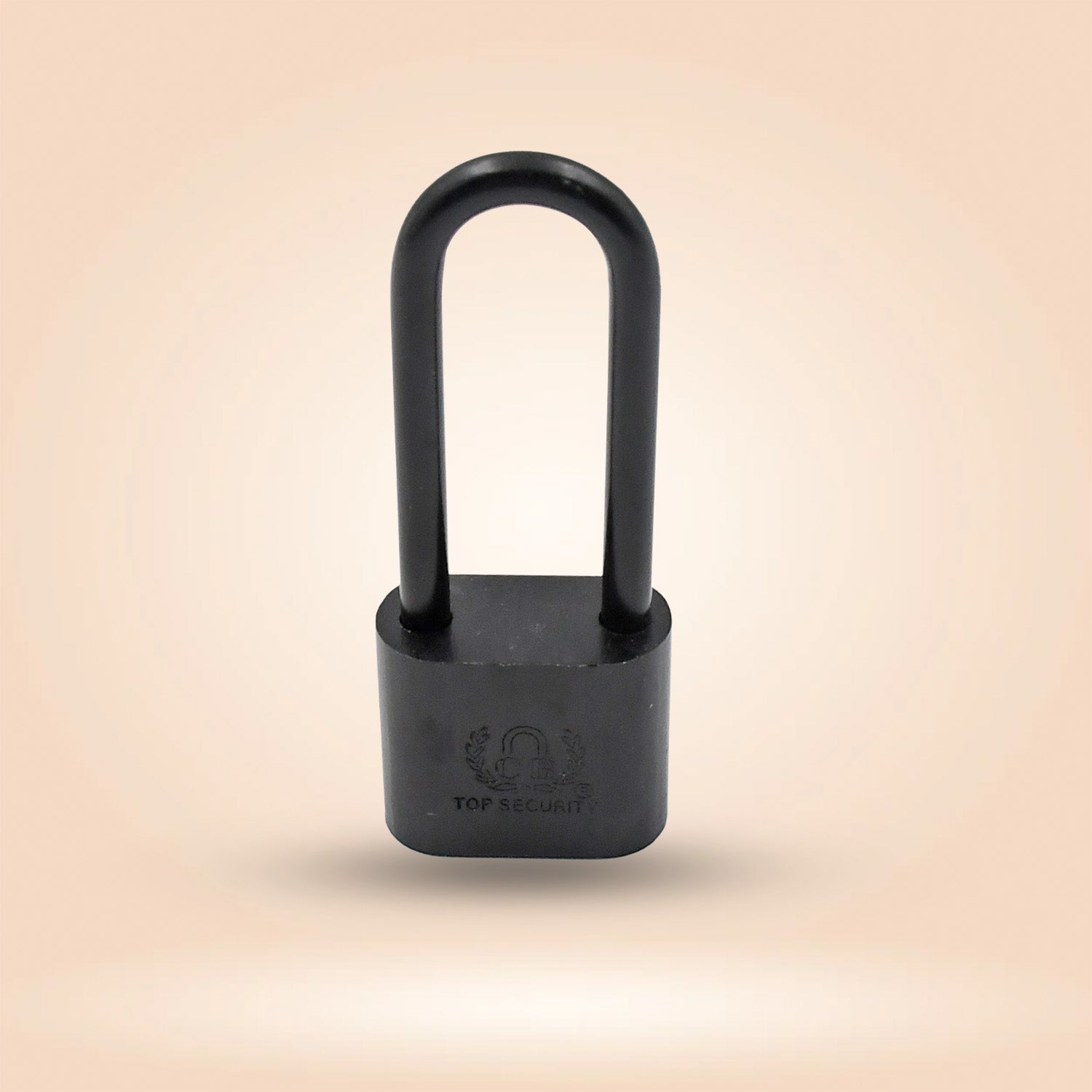 Black metal storage padlock with key. Black metal storage padlock with key.